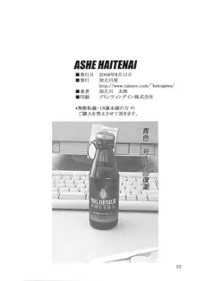 ASHE HAITENAI, 日本語