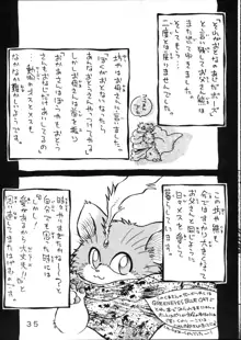 すまん!, 日本語