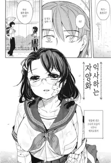 Seifuku Shoujo no Toriatsukaikata - School girl manual | 교복소녀 사용설명서, 한국어