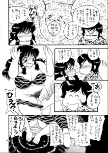 肥甘娘2, 日本語