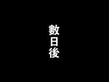 プリ・ママ外伝 ●ーザ召しませ!, 中文