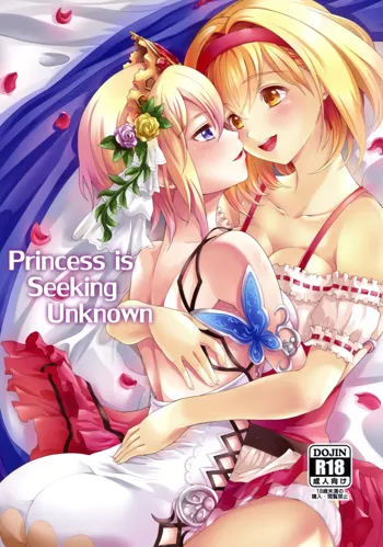 Princess is Seeking Unknown, 日本語