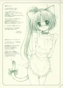 My Dear Little Rabbit Second Edition, 日本語