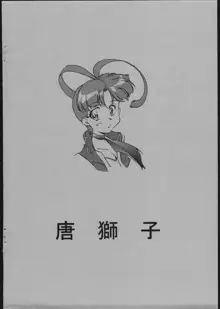 Hikoushiki Fushounin File, 日本語