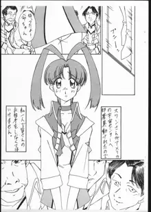 Hikoushiki Fushounin File, 日本語