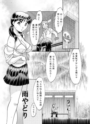 雨やどり, 日本語