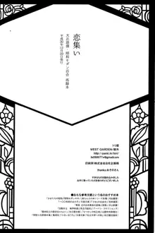 Koitsudoi | love gathering, 中文