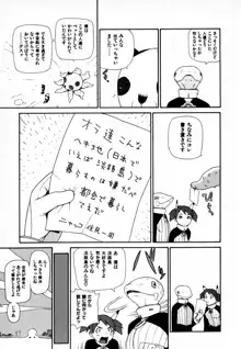 元帥閣下の自動人形, 日本語