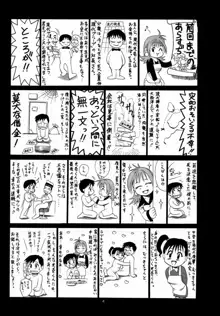 ボクの成年貢献人2, 日本語