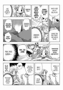 33-sai Dokushin Onna Kishi Taichou | 33세 독신 여기사 대장 Ch. 47-86, 한국어