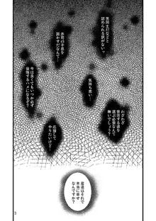 相応しくないと思った恋の三度目の正直, 日本語