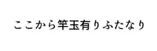 お賽銭で股を開く霊夢さん（ふたなり差分有り）, 日本語