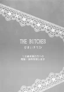 THE BITCHES, 中文