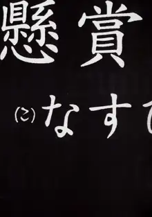 14さいマニュアル, 日本語