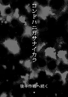 フタナリ時雨 山城完堕夜戦 前半作戦, 日本語