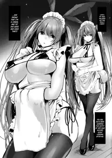 Bunny Maid no Chouhatsu | The Bunny Maid's Provocation, English