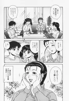 Hなお願い, 日本語