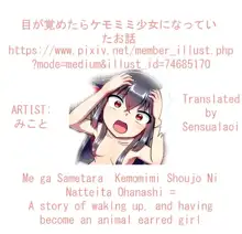 Me Ga Sametara kemomimishoujo ni natteita ohanashi, English