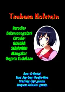 Tsubasa Holstein, Español