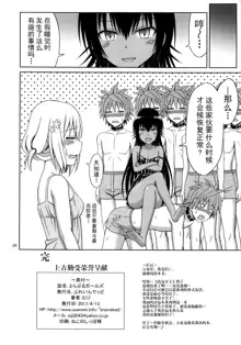 To LOVE-Ru Girls, 中文