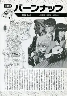 美少女アニメ大全集 - アダルトアニメビデオカタログ1991, 日本語