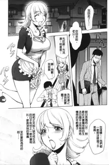 Netorare New Heroine (decensored), 中文