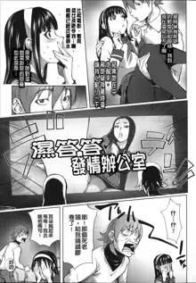 Netorare New Heroine (decensored), 中文