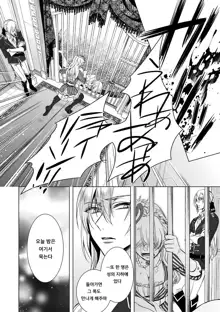 Kyououji no Ibitsu na Shuuai ~Nyotaika Knight no Totsukitooka~ Ch. 6 | 미친 왕자의 왜곡된 포로사랑 ~여체화 기사의 시월 십일~ Ch. 6, 한국어