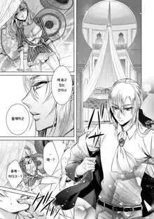 Kyououji no Ibitsu na Shuuai ~Nyotaika Knight no Totsukitooka~ Ch. 6 | 미친 왕자의 왜곡된 포로사랑 ~여체화 기사의 시월 십일~ Ch. 6, 한국어