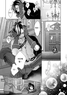 Kyououji no Ibitsu na Shuuai ~Nyotaika Knight no Totsukitooka~ Ch. 6 | 미친 왕자의 왜곡된 포로사랑 ~여체화 기사의 시월 십일~ Ch. 6, 한국어