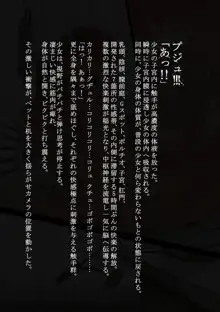 アイドル少女 恥辱な一日1 寝顔配信編, 日本語