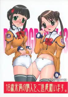 PORNOGRAPHY 13, 日本語