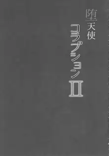 堕天使コラプションII, 日本語