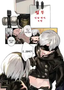 2B9S, 한국어