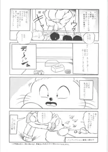 ぷちぐまブック2, 日本語