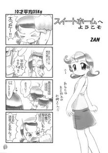 どれみパラダイス7, 日本語