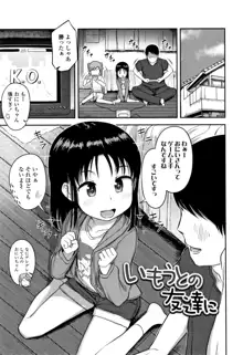 なにするの!?おにいちゃん!!, 日本語