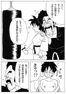 Videl Web Comic, 日本語