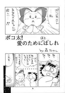 ごめんネ, 日本語