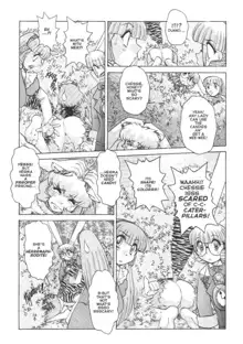 Alice In Sexland Extreme 1-15, English