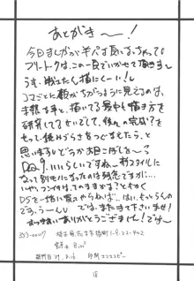 DRAGON REQUEST Vol.14, 日本語