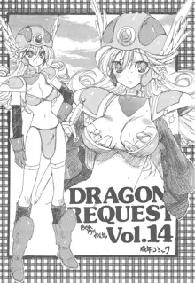 DRAGON REQUEST Vol.14, 日本語