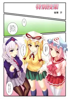 東方総天然色きせかえ合同「こすプレ！」, 日本語