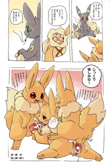 あなろぐ - Eevee and Umbreon, 日本語