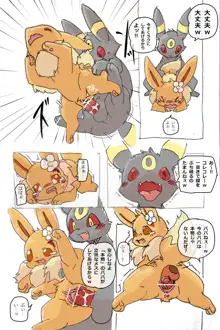 あなろぐ - Eevee and Umbreon, 日本語