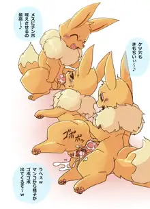 あなろぐ - Eevee and Umbreon, 日本語