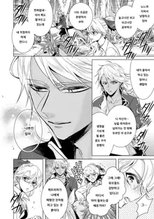 Kyououji no Ibitsu na Shuuai ~Nyotaika Knight no Totsukitooka~ Ch. 16 | 미친 왕자의 왜곡된 포로사랑 ~여체화 기사의 시월 십일~ Ch. 16, 한국어