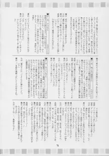 ヴァルハラ～第二章～冬の嵐, 日本語