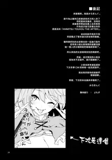 ANMITSU TOUHOU THE AFTER Vol.2, 中文