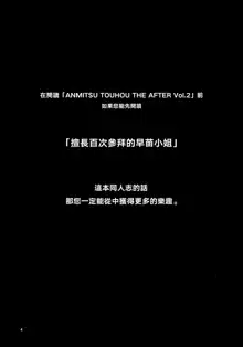 ANMITSU TOUHOU THE AFTER Vol.2, 中文